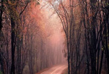 步行者队不挡冲击前四无缘季后赛