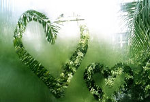 步行者队不挡冲击前四无缘季后赛