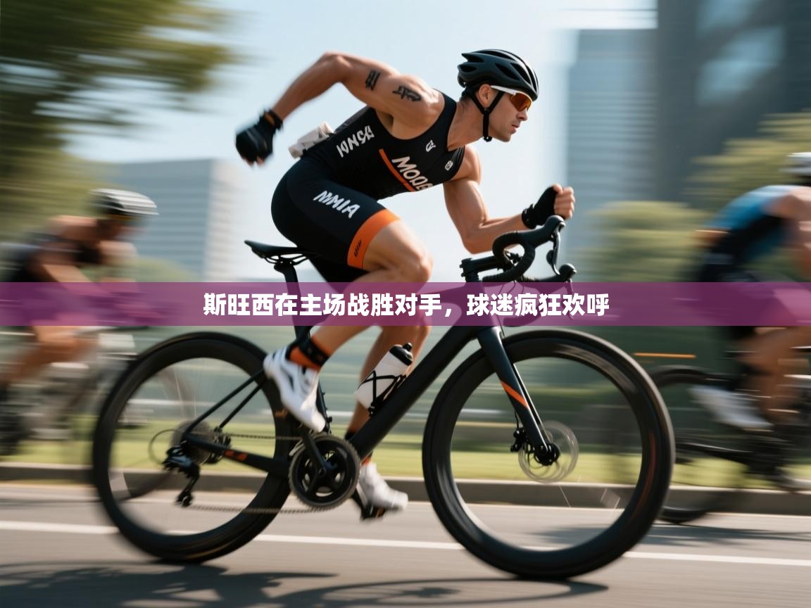 斯旺西在主场战胜对手,球迷疯狂欢呼 第2张