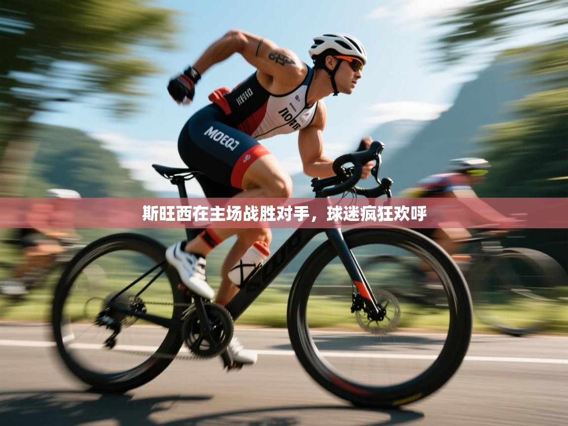 斯旺西在主场战胜对手,球迷疯狂欢呼 第1张