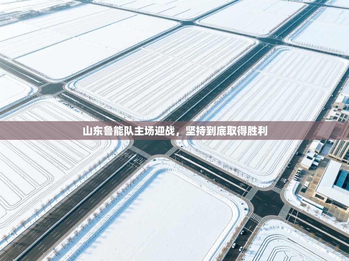 山东鲁能队主场迎战,坚持到底取得胜利