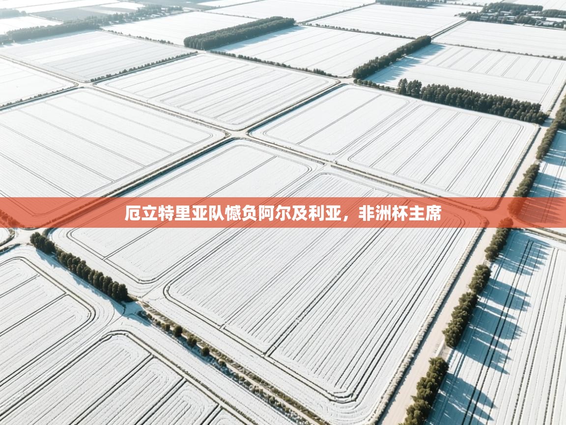 厄立特里亚队憾负阿尔及利亚，非洲杯主席  第2张