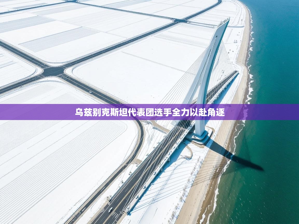 乌兹别克斯坦代表团选手全力以赴角逐